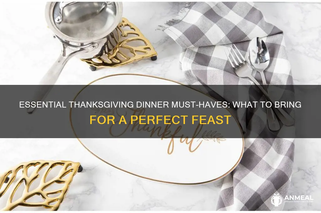 what to bring to thanks giving dinner
