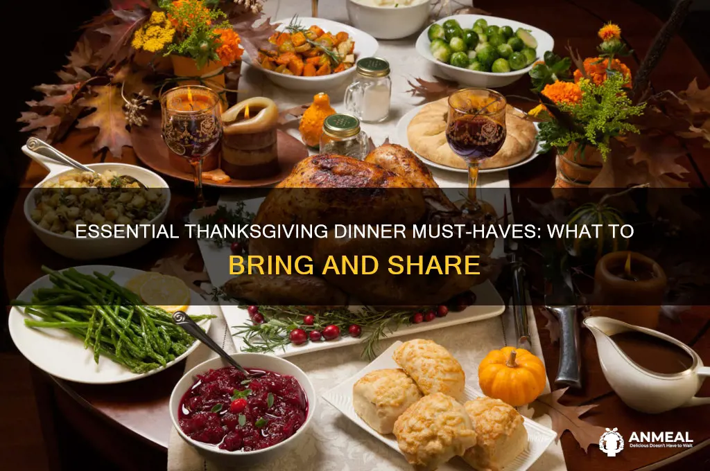 what to bring to thansgiving dinner