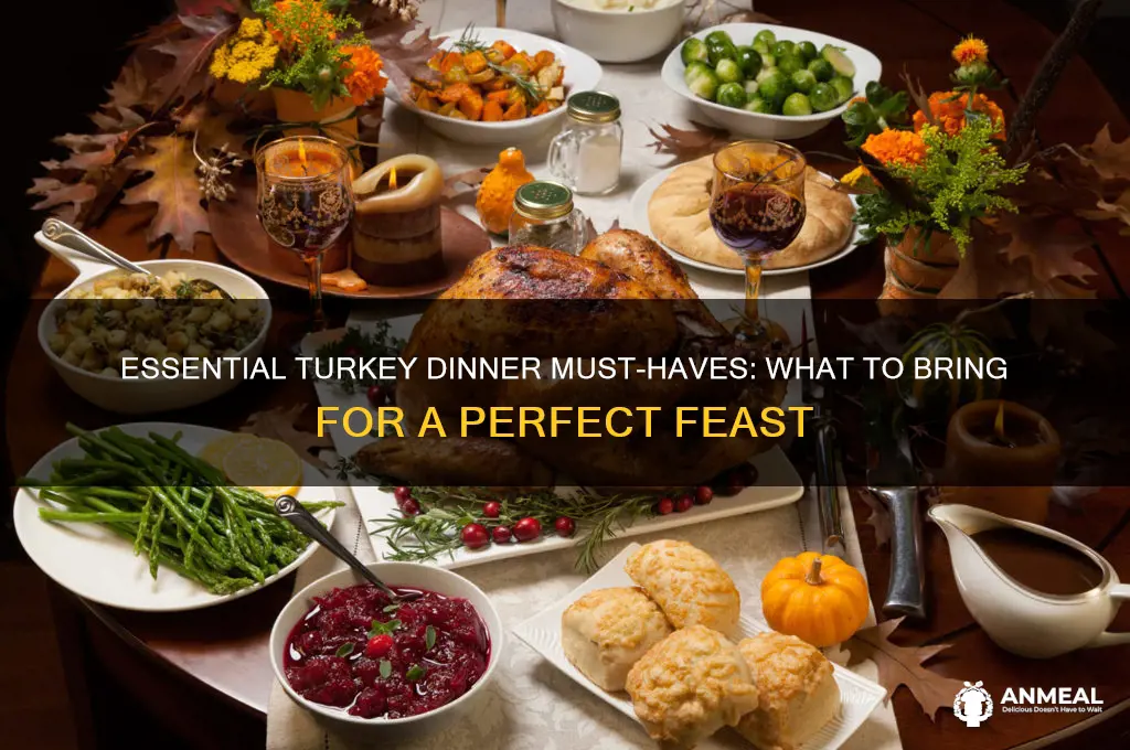 what to bring to turkey dinner