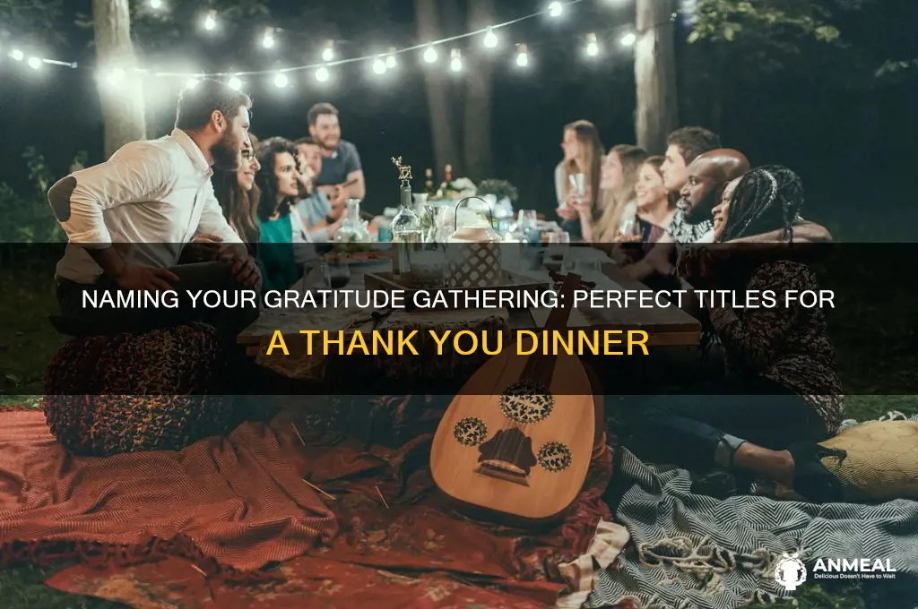 what to call a thank you dinner