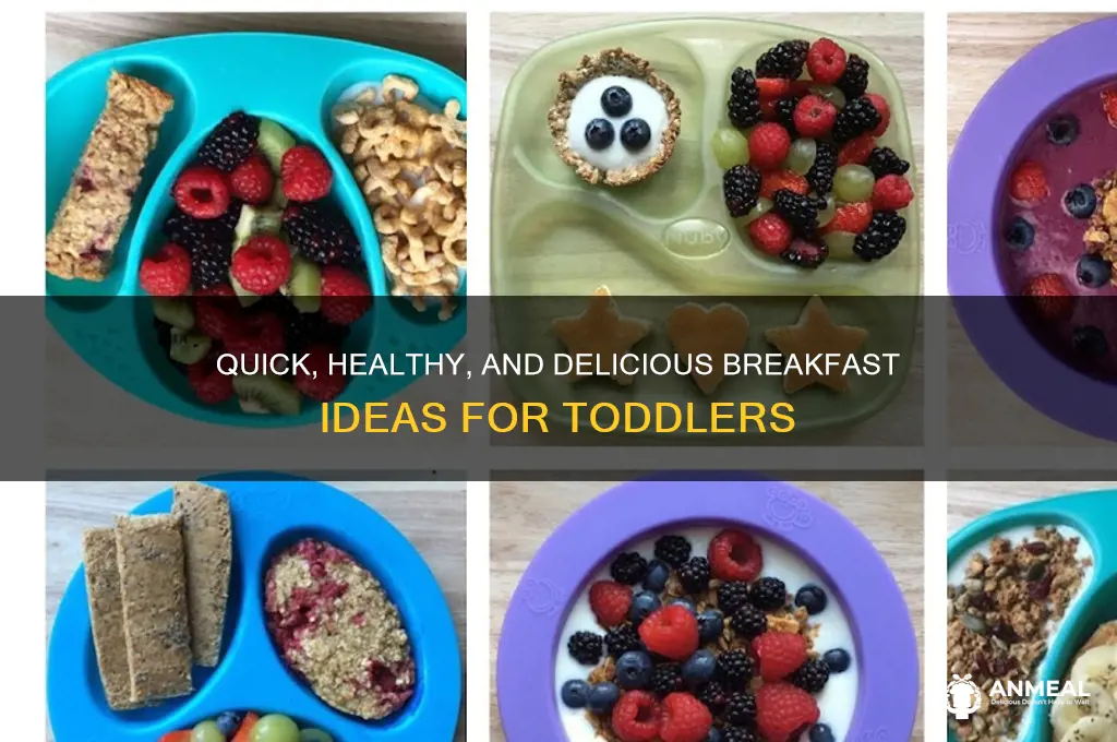 what to cook toddlers for breakfast