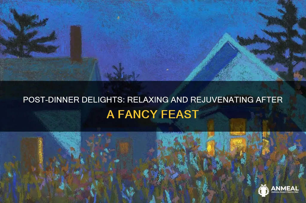 what to do after a fancy dinner