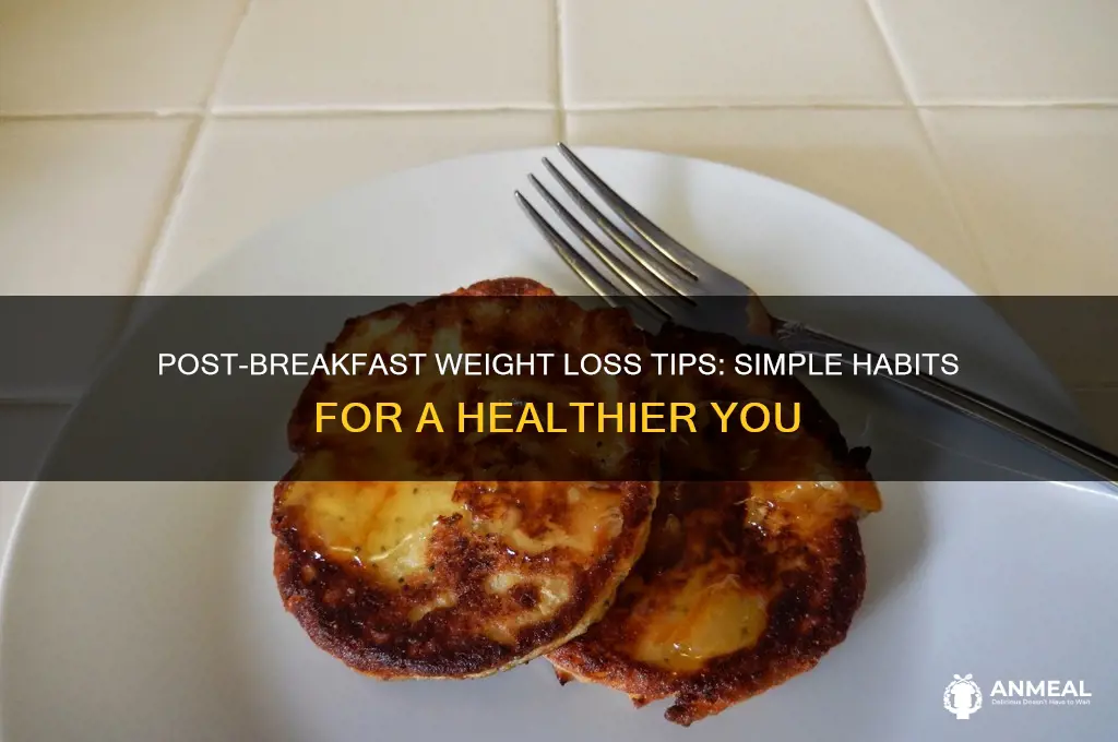 what to do after breakfast to lose weight