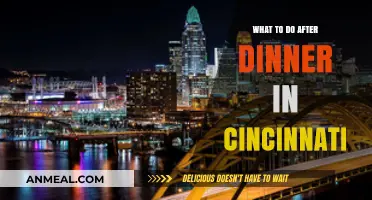 Cincinnati After-Dinner Fun: Top Activities to Enjoy Evening Vibes