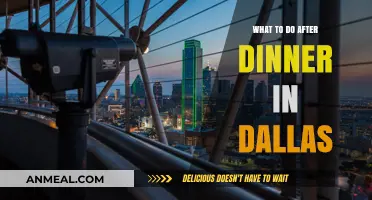 Dallas After Dark: Exciting Evening Activities Post-Dinner in the City