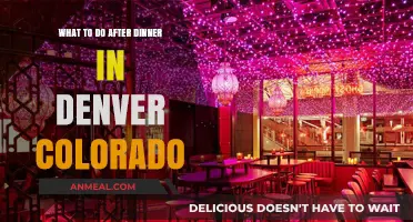 Denver After Dark: Exciting Evening Activities Post-Dinner in the Mile High City