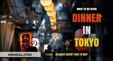 Tokyo After Dark: Exciting Post-Dinner Activities to Explore