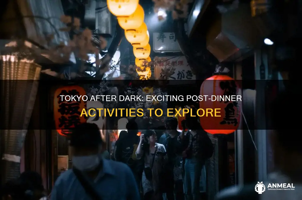 what to do after dinner in tokyo