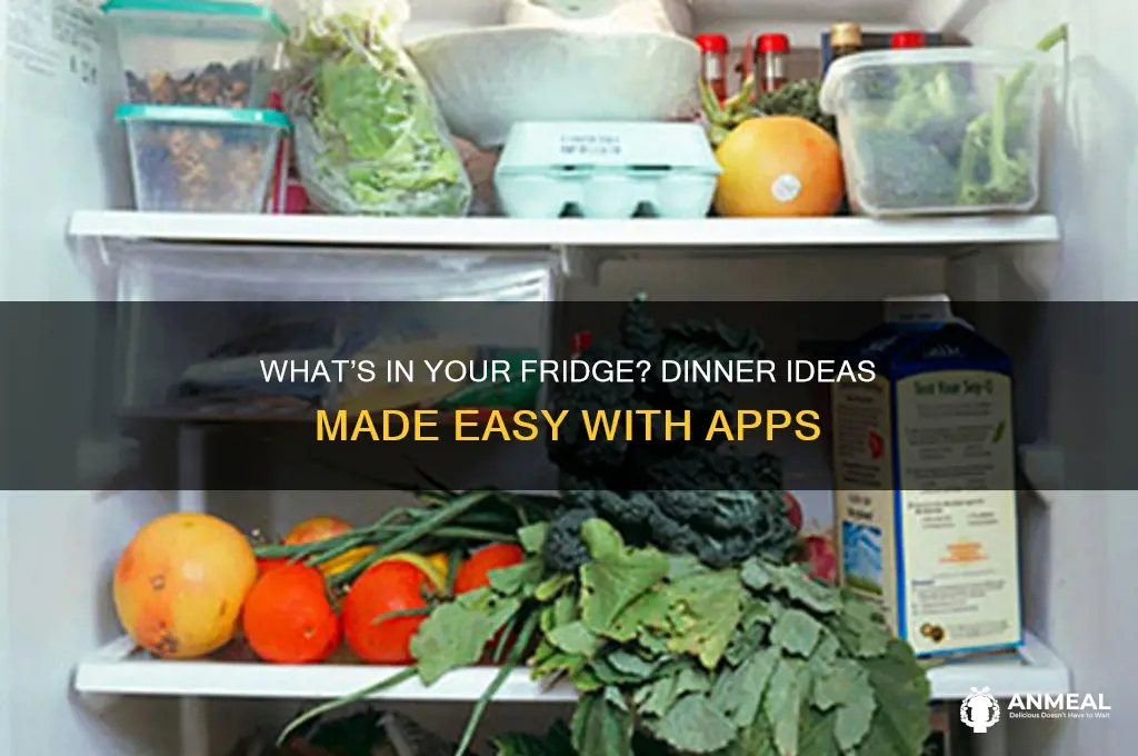 what to do for dinner app whats in your fridge