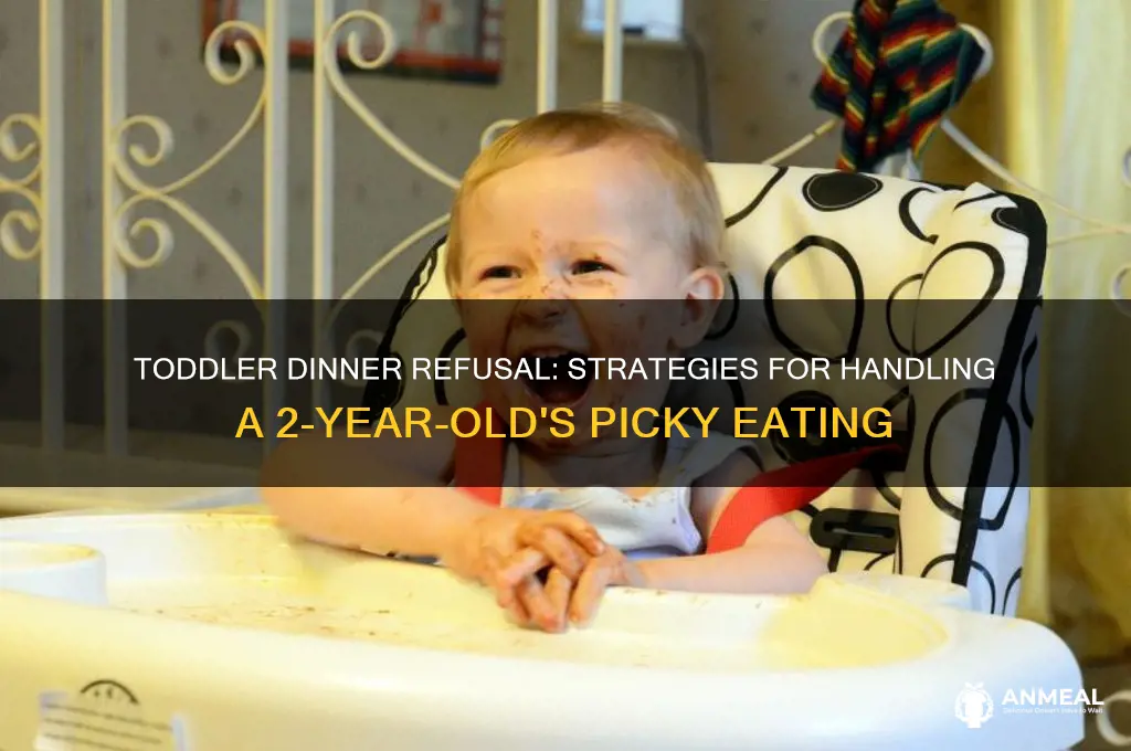 what to do if 2 year old refuses dinner