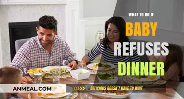Baby Refusing Dinner? Calm Strategies to Encourage Healthy Eating Habits