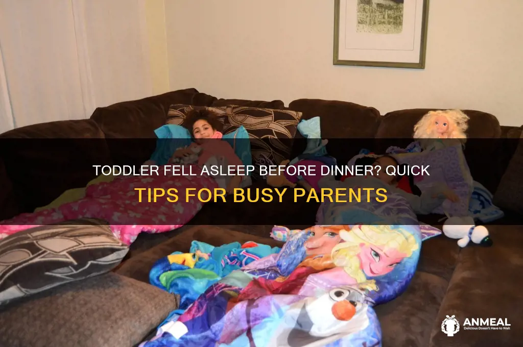 what to do if toddler falls asleep before dinner