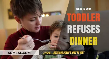 Toddler Refusing Dinner? Calm Strategies for Stress-Free Mealtimes