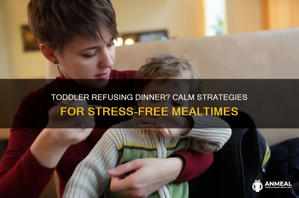 what to do if toddler refuses dinner