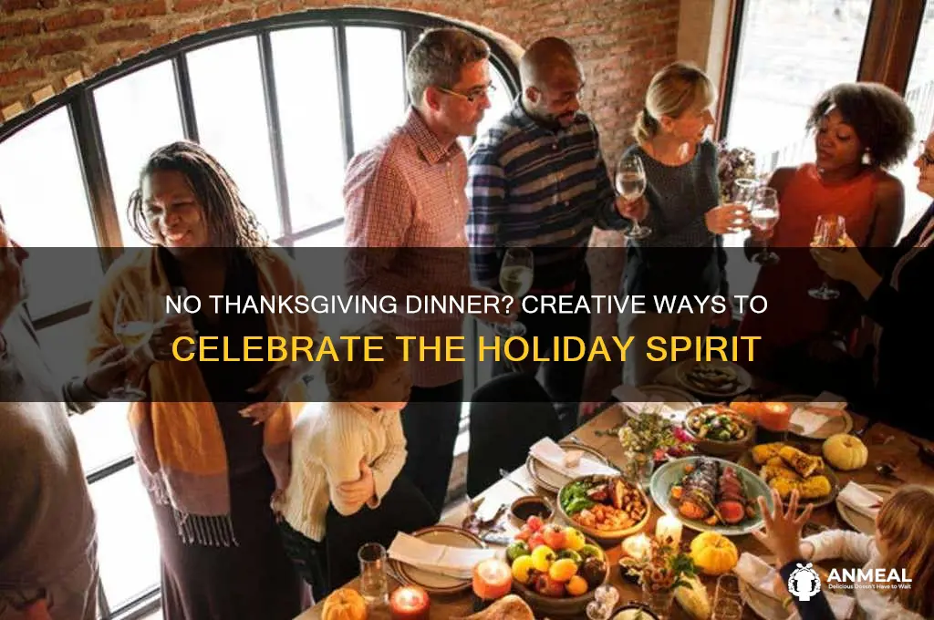 what to do if you dont have a thanksgibing dinner