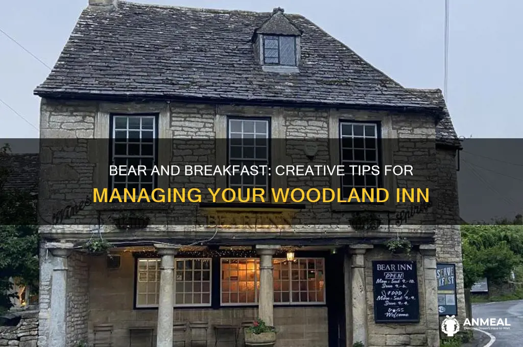 what to do in bear and breakfast
