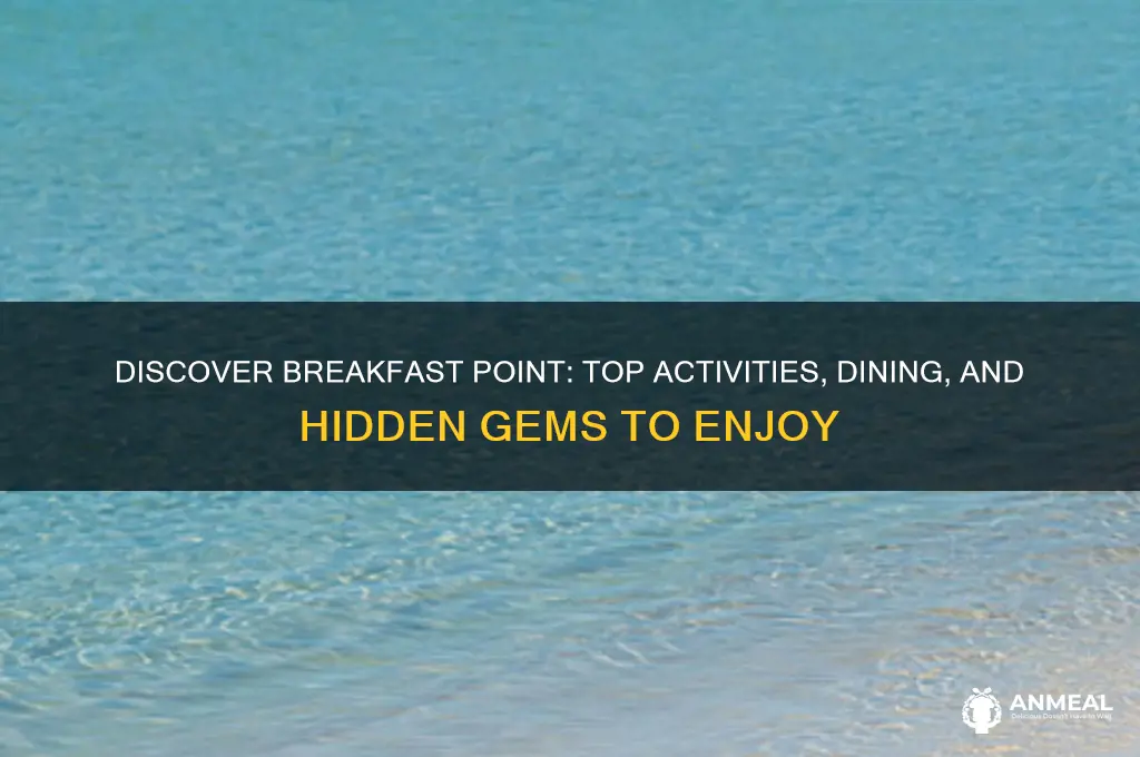 what to do in breakfast point