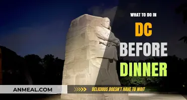 DC Pre-Dinner Adventures: Exploring the Best Activities Before Your Meal
