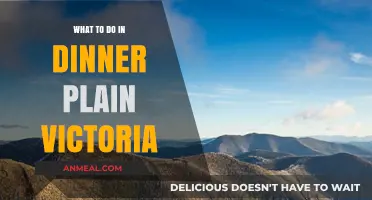 Explore Dinner Plain Victoria: Top Activities, Dining, and Adventures Await