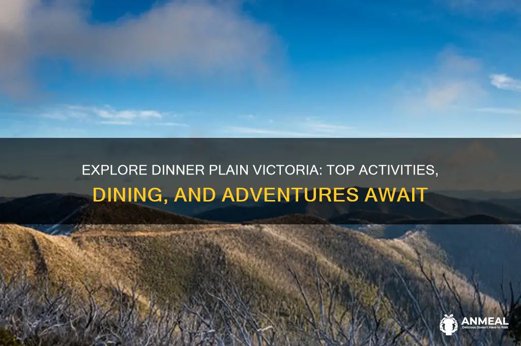 what to do in dinner plain victoria