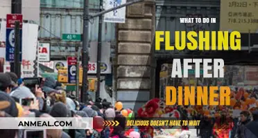 Flushing After Dark: Top Post-Dinner Activities to Enjoy