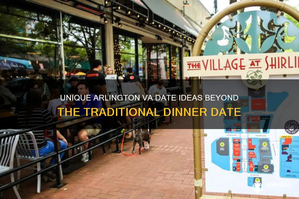 what to do instead of a dinner date arlington va