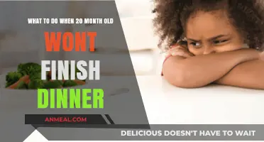 Toddler Dinner Struggles: Tips for Handling a 20-Month-Old's Picky Eating
