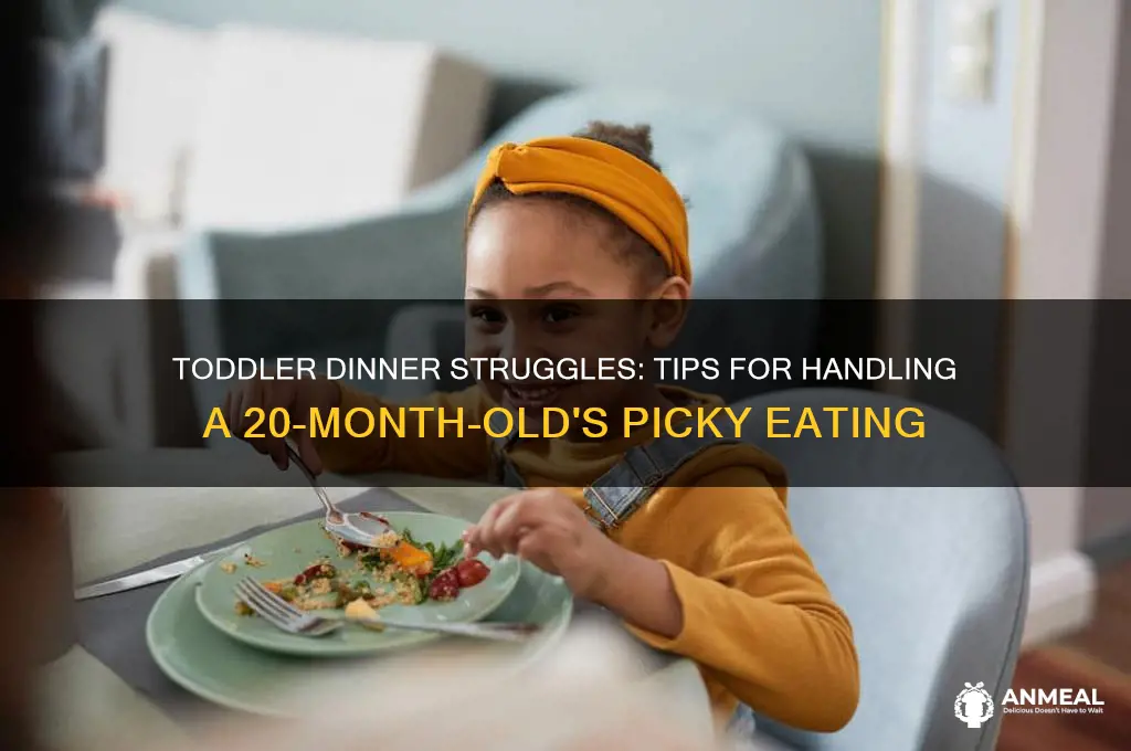 what to do when 20 month old wont finish dinner
