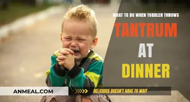 Calm the Chaos: Strategies for Toddler Tantrums at Dinner
