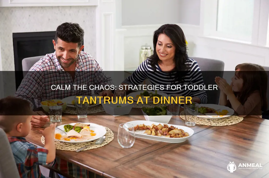 what to do when toddler throws tantrum at dinner