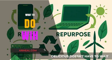 Creative Ways to Repurpose, Recycle, and Reuse Everyday Items Effectively
