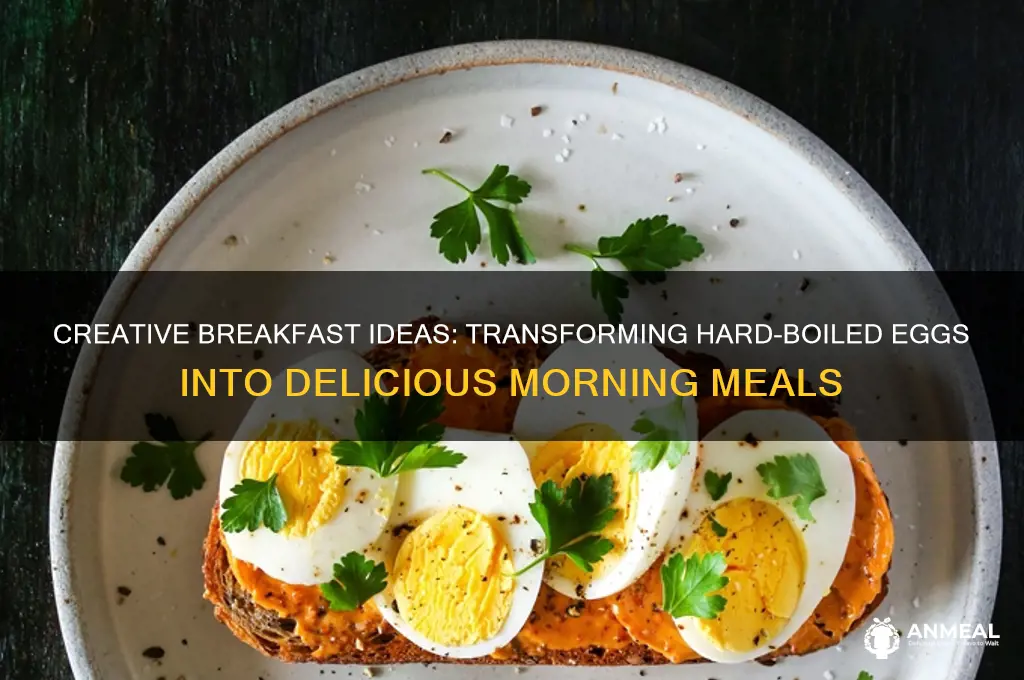 what to do with a hard boiled egg for breakfast