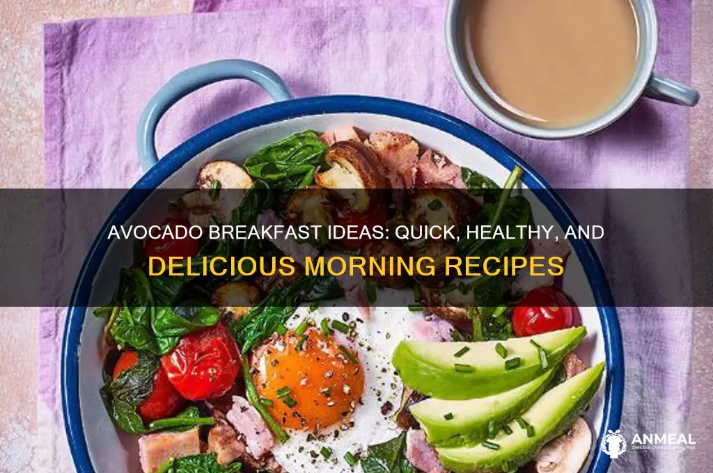 what to do with an avocado for breakfast