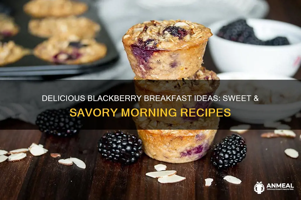what to do with blackberries for breakfast