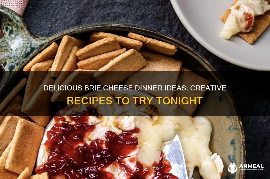 what to do with brie cheese for dinner