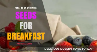 Creative Chia Seed Breakfast Ideas: Quick, Healthy, and Delicious Recipes