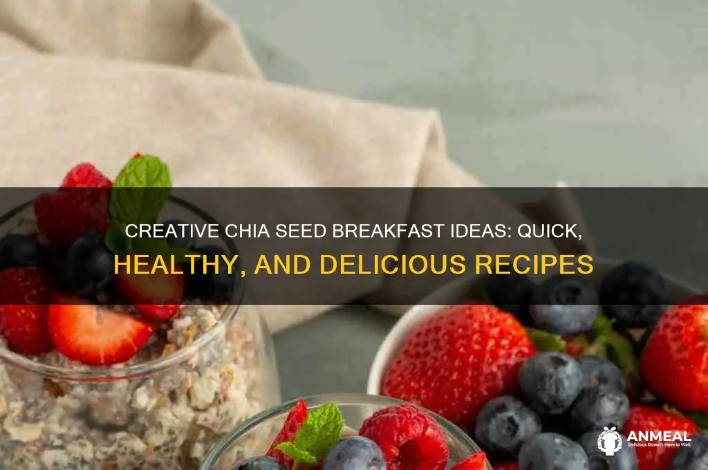 what to do with chia seeds for breakfast