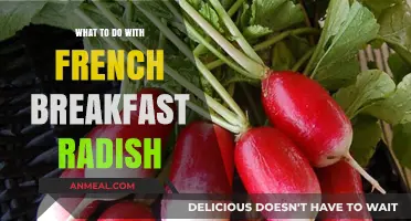 Delicious Ways to Enjoy French Breakfast Radishes in Your Meals