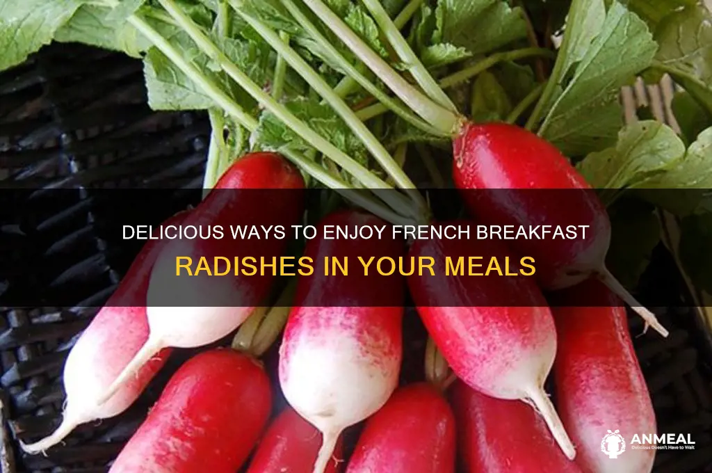 what to do with french breakfast radish