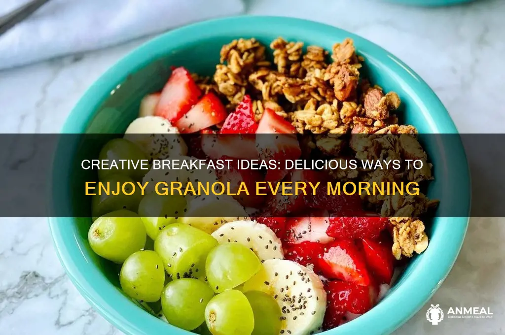 what to do with granola for breakfast
