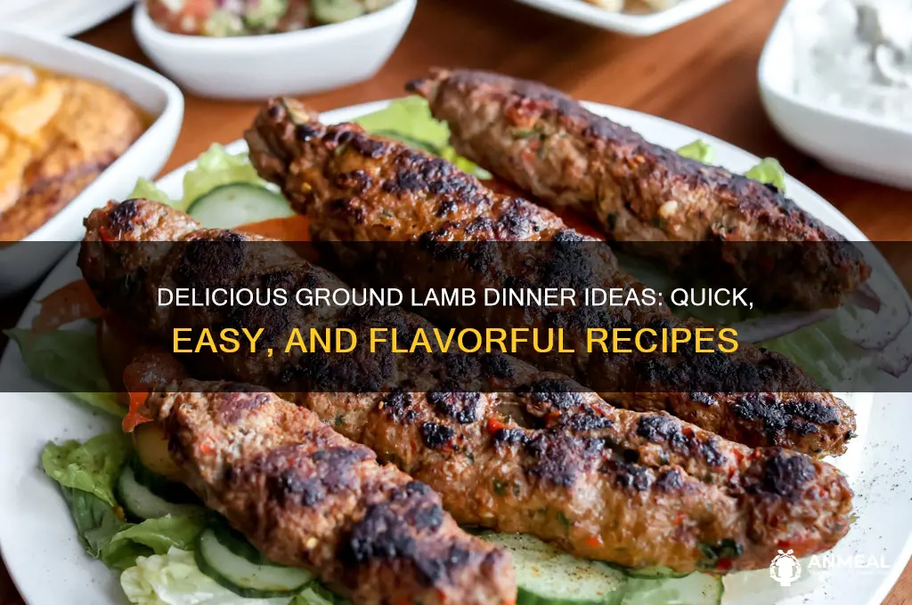 what to do with ground lamb for dinner