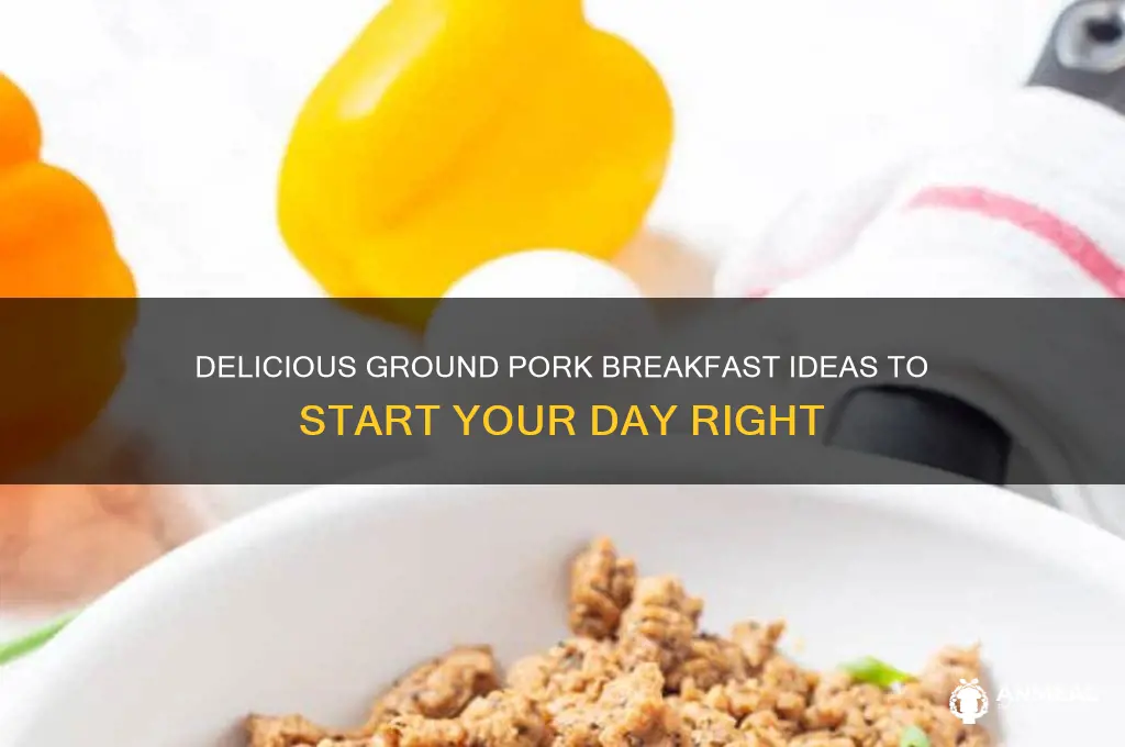 what to do with ground pork for breakfast