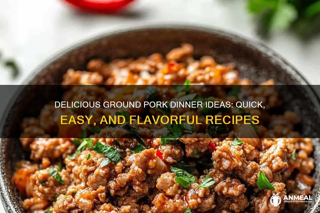 what to do with ground pork for dinner