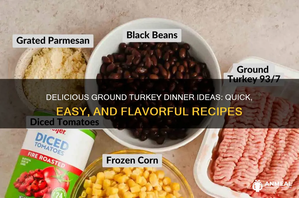 what to do with ground turkey meat for dinner