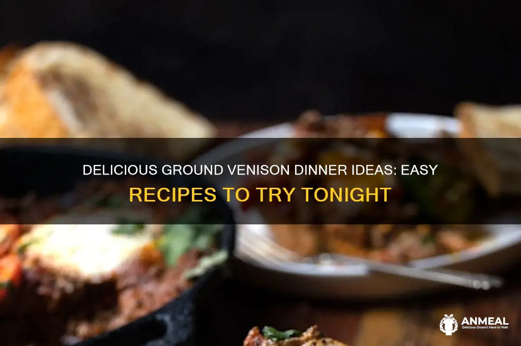 what to do with ground venison for dinner