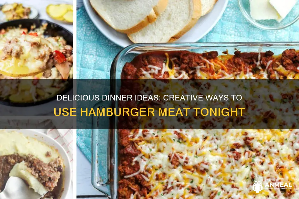 what to do with hamburger meat for dinner