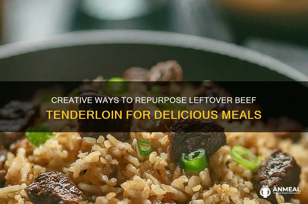 what to do with leftover beef tenderloin dinner