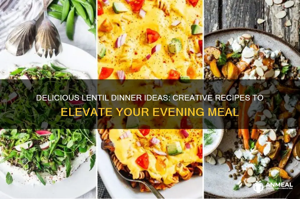 what to do with lentils for dinner