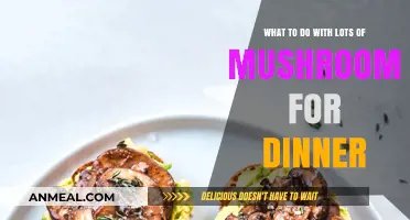 Creative Mushroom Feast: Exciting Dinner Ideas for Abundant Mushroom Lovers
