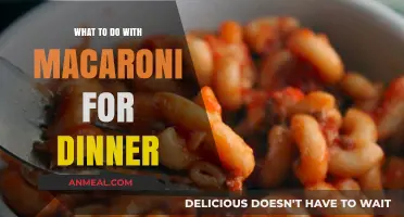 Creative Macaroni Dinner Ideas: Quick, Easy, and Delicious Recipes to Try